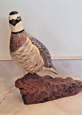 quail bird for sale quail bird for sale Sun Prairie