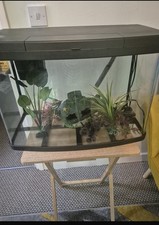 Fish tank for sale  LIVERPOOL