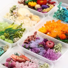 Diy real natural for sale  Shipping to United States