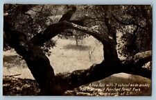 California postcard rppc for sale  Terre Haute