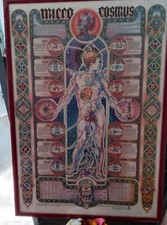 Grande atlante corpo usato  Vittuone