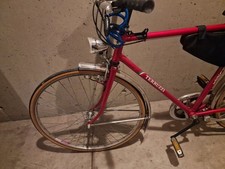 Bicicletta terruzzi usata usato  Sesto San Giovanni