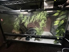 Leopard gecko cage for sale  Yuma