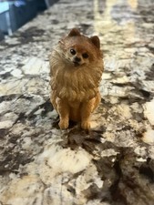 pomeranians puppies for sale  Florence