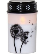 Led grablicht pusteblume gebraucht kaufen  Übach-Palenberg