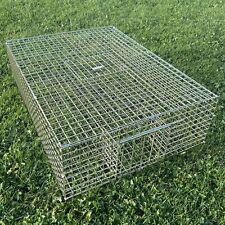 Feral pigeon trap for sale  PRESTON