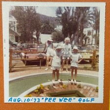 Foto vintage de golfe em miniatura instantânea original comprar usado  Enviando para Brazil
