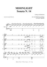 Beethoven moonlight for usato  Paderno Dugnano