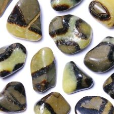 Septaria madagascar pierres d'occasion  Gerzat