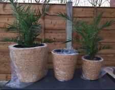 outdoor large plant pots for sale outdoor large plant pots for sale MANCHESTER