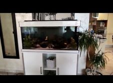 Acquario wave usato  Solza
