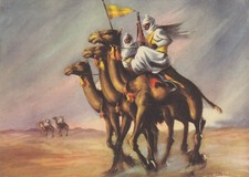 mezzi militari veneto usato mezzi militari veneto usato Fiorano Modenese