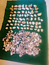 Sea shells garden. for sale  LONDON