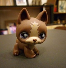 Petshop bébé chien d'occasion  Grasse