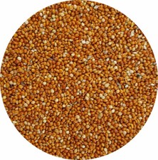Red millet 2kg for sale  LEIGHTON BUZZARD