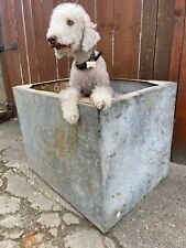 Vintage antique large for sale  ALFRETON