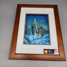Agi fine arts for sale  Surprise