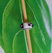 Pandora charm murano gebraucht kaufen Pandora charm murano gebraucht kaufen  Nürtingen