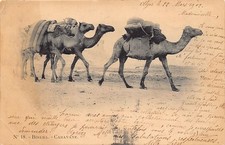 Algeria biskra caravan d'occasion  Expédié en Belgium