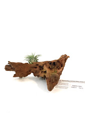 driftwood airplant for sale driftwood airplant for sale La Puente
