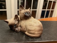 Cats for sale  Larchmont