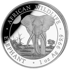 Silbermünze elefant african gebraucht kaufen  Erftstadt