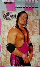 Wwf bret the gebraucht kaufen  Schwerin