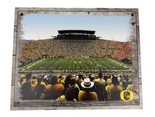 Ncaa oregon ducks for sale  Brookings