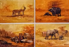 Pagliani franco animali usato  Correggio