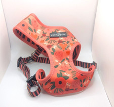 Lucy flower dog for sale  Tyler