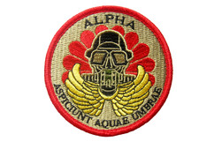 Ecusson dragons parachutistes d'occasion  Saint-Mamert-du-Gard
