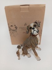 boxer puppies for sale boxer puppies for sale RUGBY