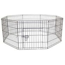 Pet dog puppy for sale  COLCHESTER