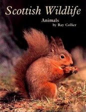 Scottish wildlife animals for sale  UK