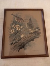 Basil ede vintage for sale  TIVERTON