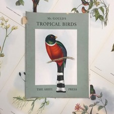 tropical birds for sale  ROMFORD