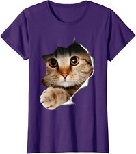 Kitten lover cute for sale  Amityville
