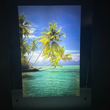 Vintage mirror tropical for sale  Middleton