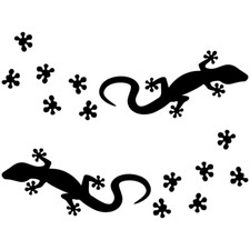 Gekko gecko echse gebraucht kaufen  Stolberg (Rhld.)