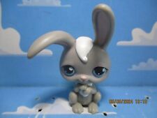 Petshop lapin garenne d'occasion  Bailleul