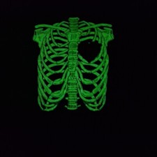 Skeleton shirt womens for sale  Hanson