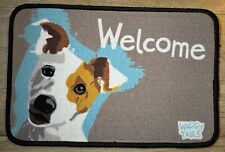 Jack russell terrier for sale  BOLTON