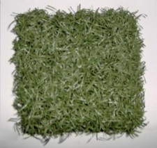Game used giants for sale  Bloomfield
