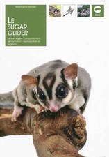 Sugar glider marie d'occasion  France