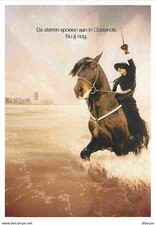 Animaux chevaux zoro d'occasion  Fruges
