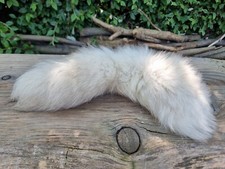 Fox tail real for sale  HULL