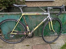 Raleigh 501 team for sale  SIDCUP