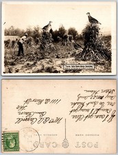 Exaggerated farmer hunting for sale  Mansfield
