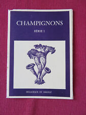 Planches champignons série d'occasion  France