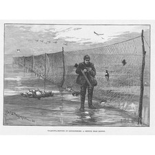Wildfowl netting lincolnshire for sale  GLASGOW